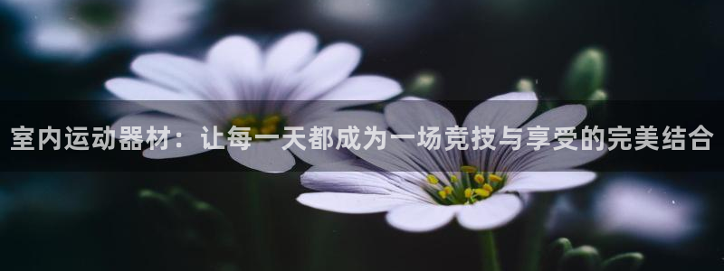 凯捷体育平台注册要钱吗是真的吗：室内运动器材：让每一