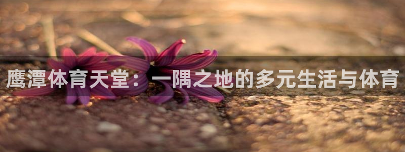 凯捷体育招商电话是多少号码：鹰潭体育天堂：一隅之地的