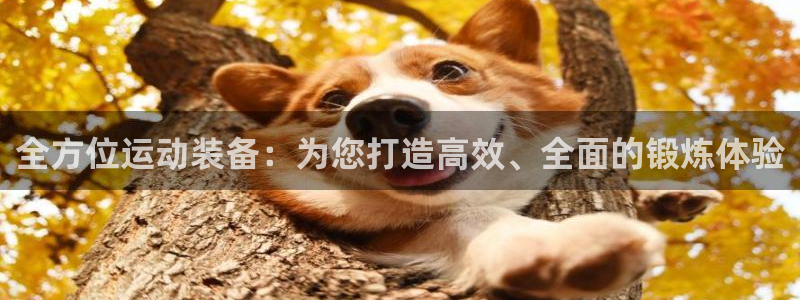 海南凯捷体育