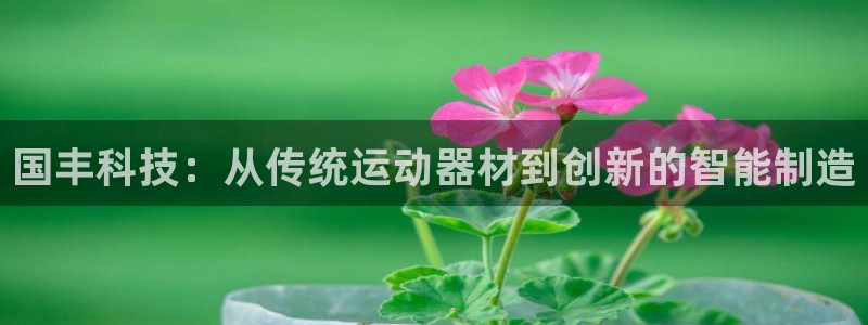 凯捷体育招商电话号码：国丰科技：从传统运动器材到创新