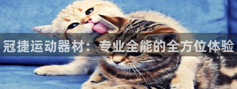 凯捷体育招商电话地址是多少