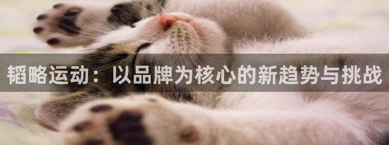 凯捷体育平台是正规平台吗知乎：韬略运动：以品牌为核心