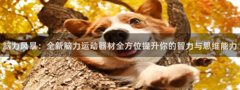 凯捷体育平台：脑力风暴：全新脑力运动器材全方位提升你