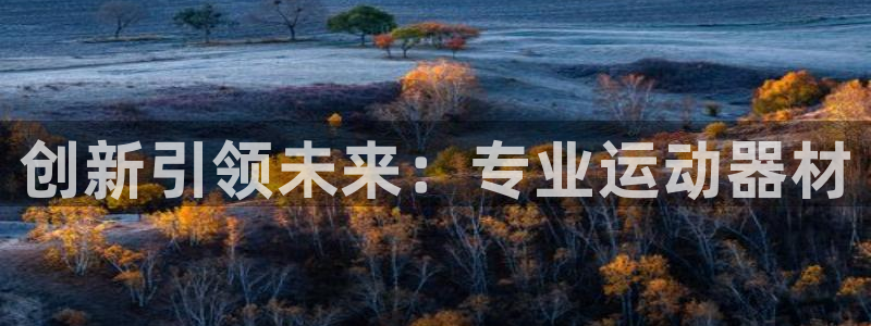 凯捷体育官网：创新引领未来：专业运动器材