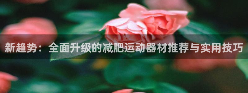凯捷体育代理：新趋势：全面升级的减肥运动器材推荐与实