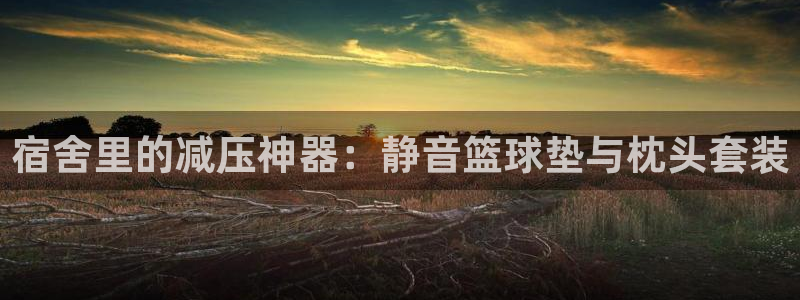 凯捷体育平台注册要钱吗是真的吗：宿舍里的减压神器：静
