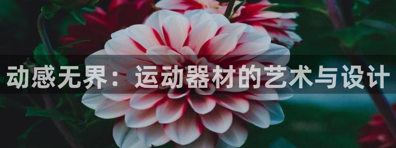 凯捷体育平台注册流程视频：动感无界：运动器材的艺术与