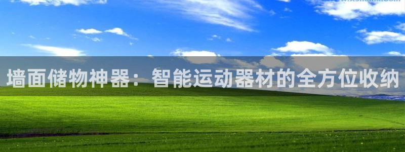 凯捷体育五金厂：墙面储物神器：智能运动器材的全方位收