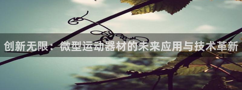 凯捷体育娱乐：创新无限：微型运动器材的未来应用与技术