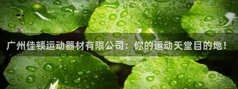 凯捷体育娱乐40996：广州佳顿运动器材有限公司：你