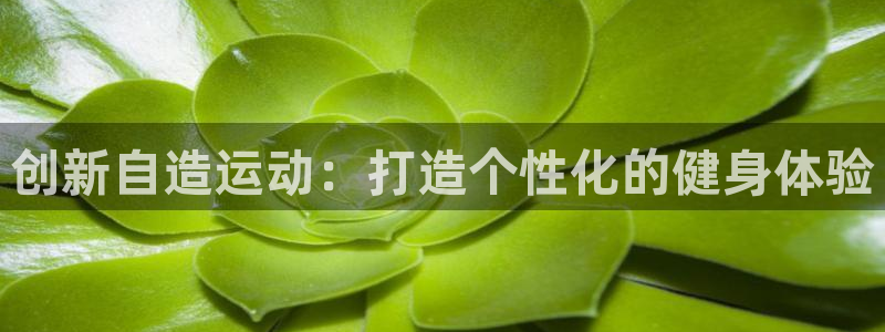 凯捷体育娱乐代理怎么样：创新自造运动：打造个性化的健