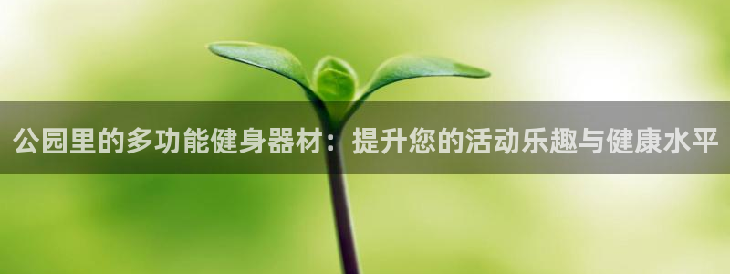 凯捷体育娱乐首页网站大全：公园里的多功能健身器材：提