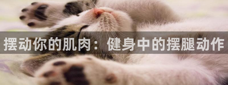 凯捷体育平台是正规平台吗：摆动你的肌肉：健身中的摆腿