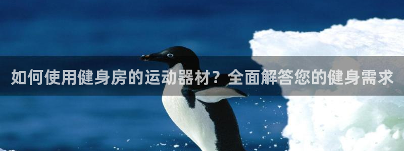 凯捷体育娱乐：如何使用健身房的运动器材？全面解答您的