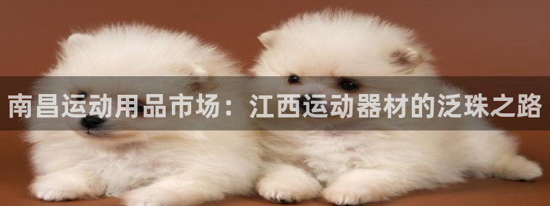 凯捷体育平台注册：南昌运动用品市场：江西运动器材的泛珠之路