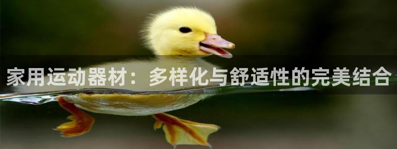 海南凯捷体育发展怎么样：家用运动器材：多样化与舒适性的完美结