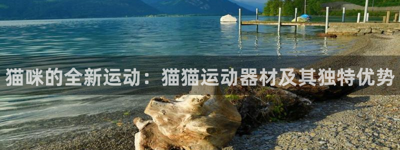 凯捷体育招商
