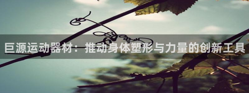 凯捷体育集团：巨源运动器材：推动身体塑形与力量的创新