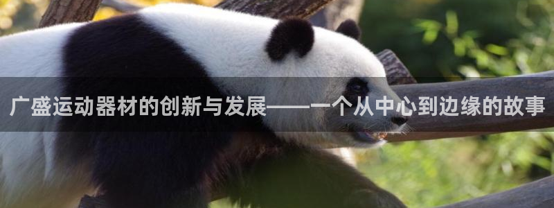 海南凯捷体育发展怎么样