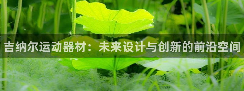 凯捷体育招商电话：吉纳尔运动器材：未来设计与创新的前沿空间