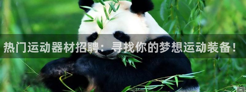 凯捷体育招商电话地址是多少：热门运动器材招聘：寻找你的梦想运