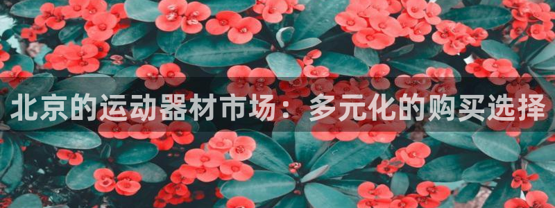 凯捷体育招商电话号码：北京的运动器材市场：多元化的购