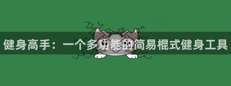 凯捷体育代理：健身高手：一个多功能的简易棍式健身工具