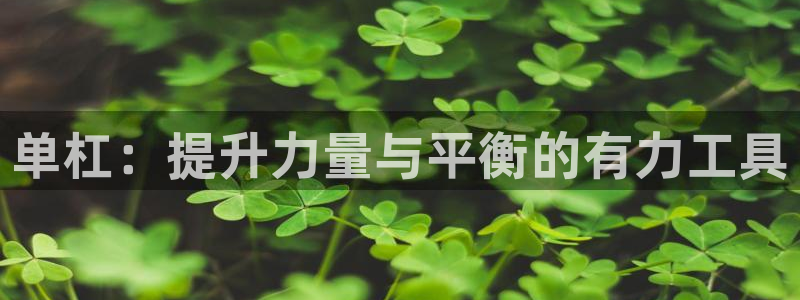 凯捷体育招商电话号码是多少号：单杠：提升力量与平衡的