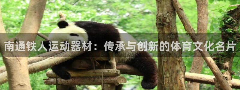 凯捷体育平台注册流程视频：南通铁人运动器材：传承与创新的体育