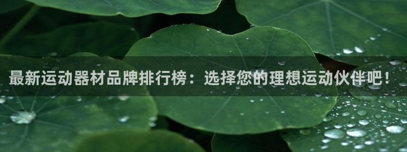 凯捷体育娱乐首页官网下载：最新运动器材品牌排行榜：选择您的理