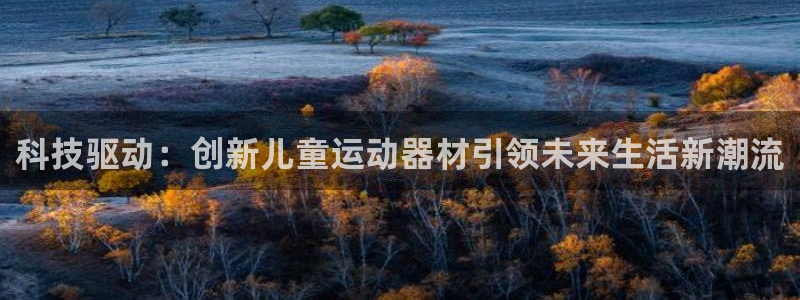 凯捷体育注册：科技驱动：创新儿童运动器材引领未来生活