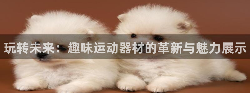 凯捷体育集团官网首页网址：玩转未来：趣味运动器材的革