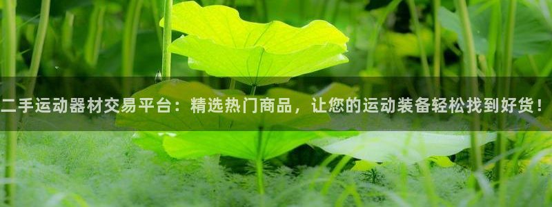 凯捷体育招商电话是多少：二手运动器材交易平台：精选热