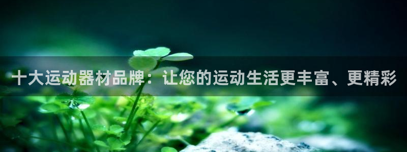 意昂集团官网：十大运动器材品牌：让您的运动生活更丰富、更精彩