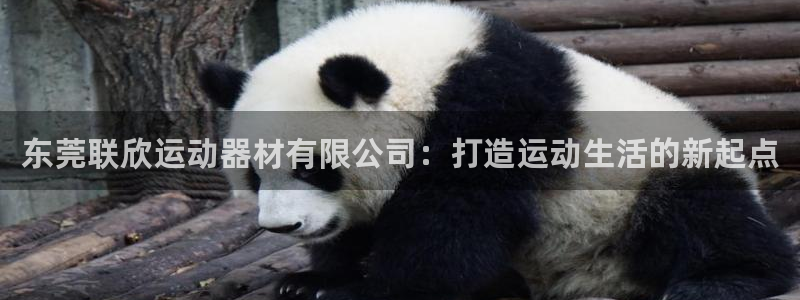 海南凯捷体育发展怎么样：东莞联欣运动器材有限公司：打造运动生