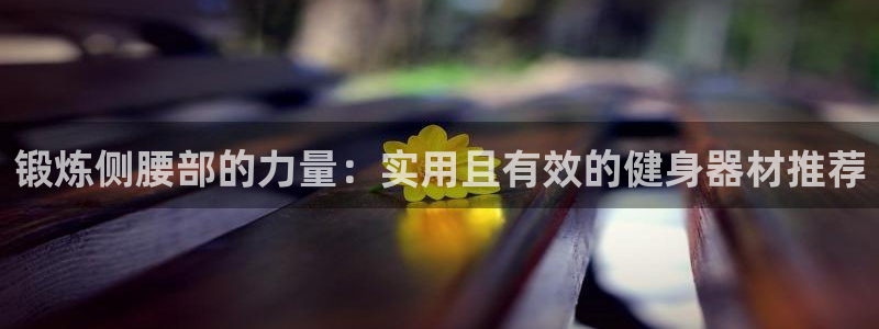 凯捷体育平台APP：锻炼侧腰部的力量：实用且有效的健身器材推