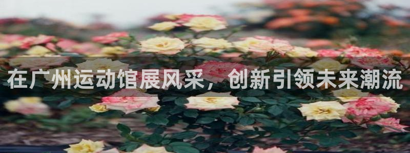 凯捷体育集团E.ON：在广州运动馆展风采，创新引领未来潮流