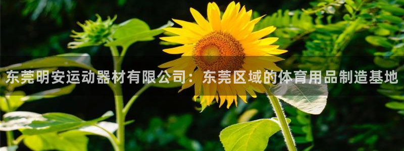 意昂集团官网：东莞明安运动器材有限公司：东莞区域的体育用品制