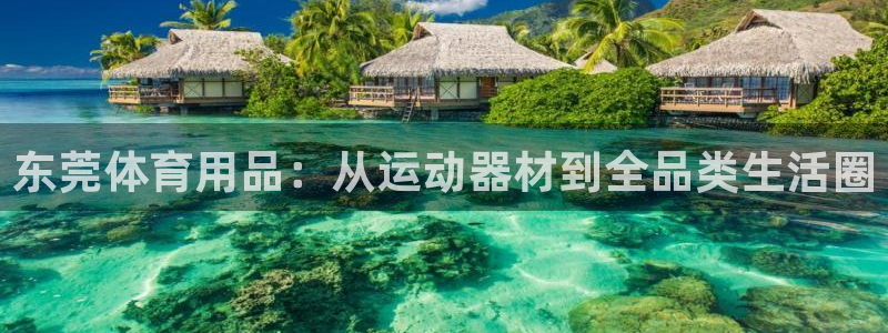 凯捷体育：东莞体育用品：从运动器材到全品类生活圈