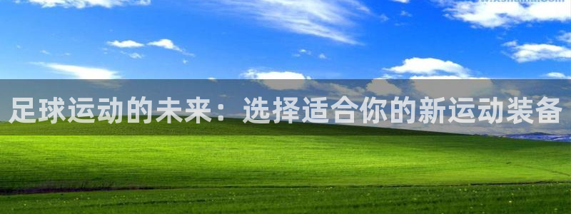 德国凯捷体育集团：足球运动的未来：选择适合你的新运动