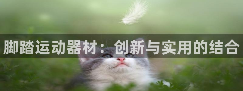 凯捷体育娱乐40996