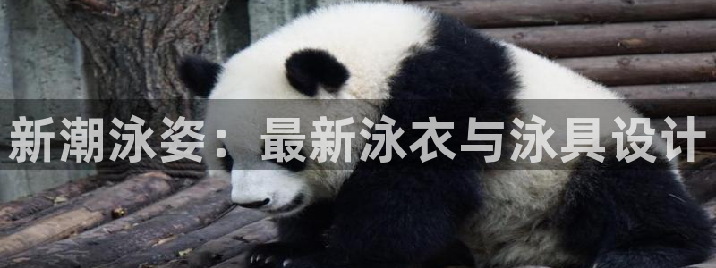 意昂集团官网：新潮泳姿：最新泳衣与泳具设计