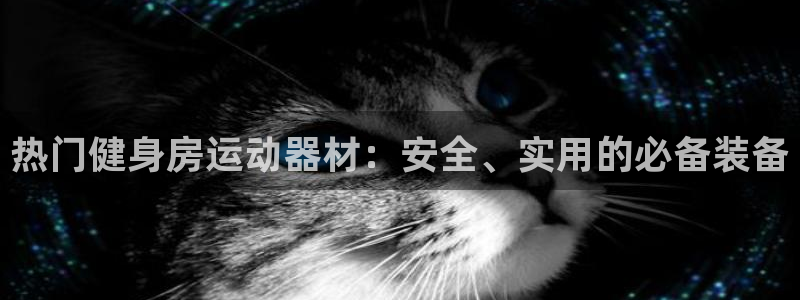 凯捷体育平台注册要钱吗：热门健身房运动器材：安全、实