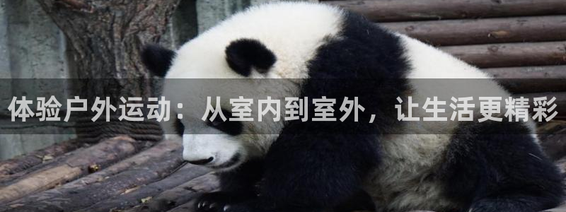 凯捷体育娱乐：体验户外运动：从室内到室外，让生活更精彩