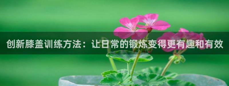 凯捷体育平台是正规平台吗知乎：创新膝盖训练方法：让日