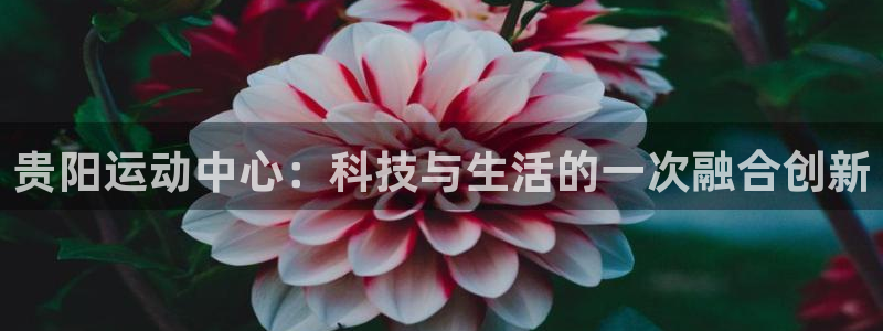 凯捷体育娱乐代理怎么样