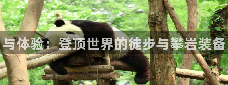 海南凯捷体育发展怎么样：与体验：登顶世界的徒步与攀岩装备