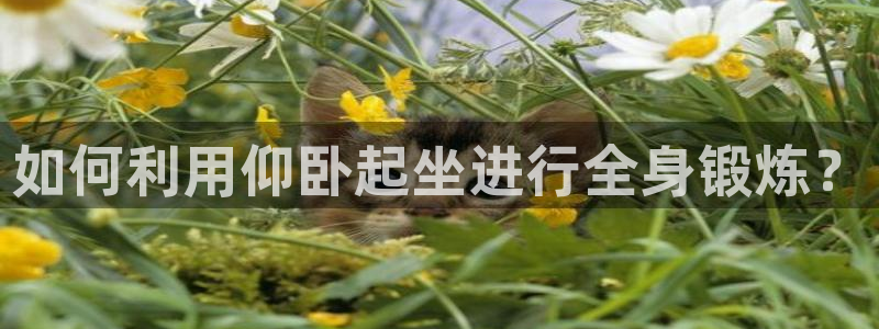 凯捷体育招商电话号码是多少啊：如何利用仰卧起坐进行全