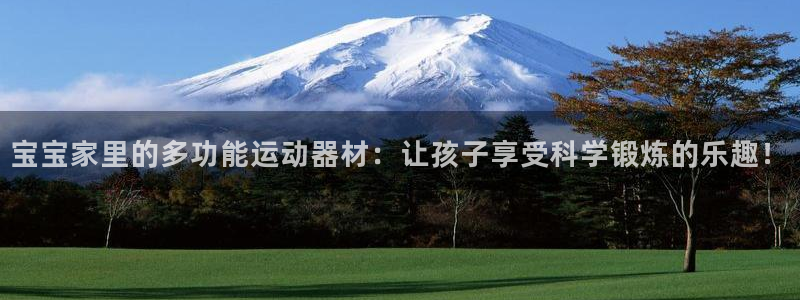 凯捷体育代理：宝宝家里的多功能运动器材：让孩子享受科学锻炼的