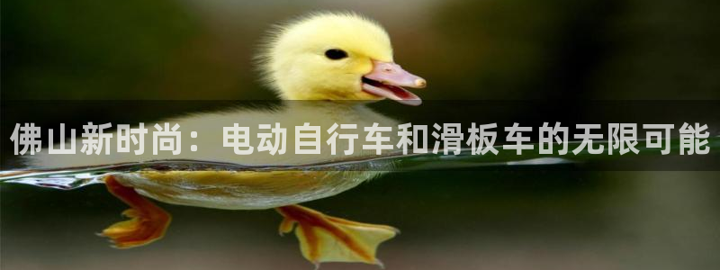 凯捷体育招商电话号码查询：佛山新时尚：电动自行车和滑